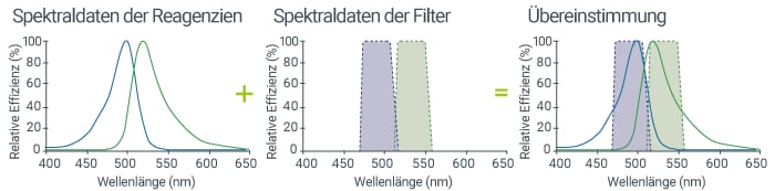 Stimmen Sie Fluoreszenzfilter und Reagenz aufeinander ab.